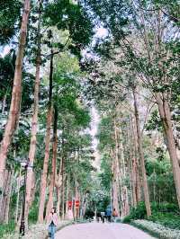 ⛺️ 蓮花山X 筆架山公園｜城市裡也能露營的綠色天堂