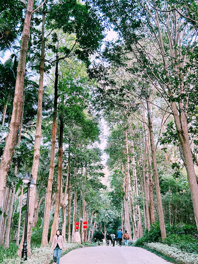 ⛺️ 蓮花山X 筆架山公園｜城市裡也能露營的綠色天堂