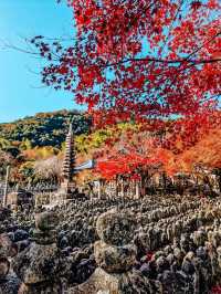 秋日京都物語，紅葉季也太美了