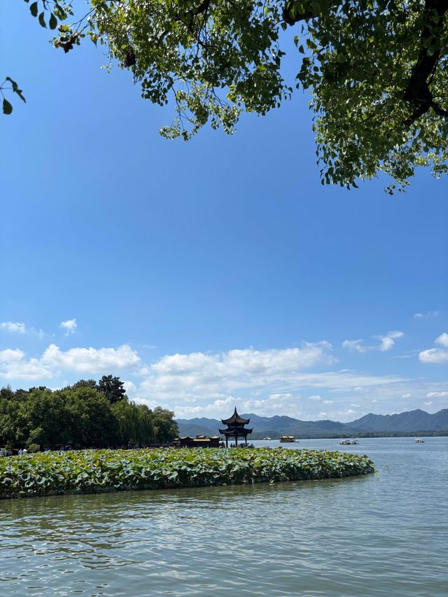 夏日西湖遊｜杭州最美打卡路線全攻略