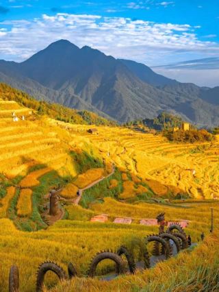 In Zhejiang!! The sea of clouds and terraced fields are stunningly divine. Zhejiang Yunhe Terraces, breathtakingly beautiful, who understands!