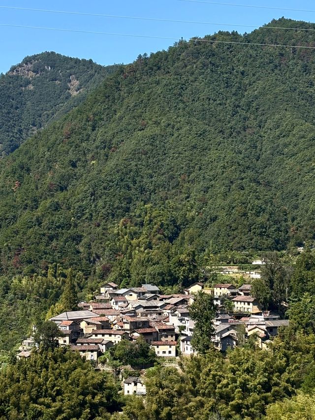 麗水松陽古村｜深藏山坳有人家 時光在此慢下來