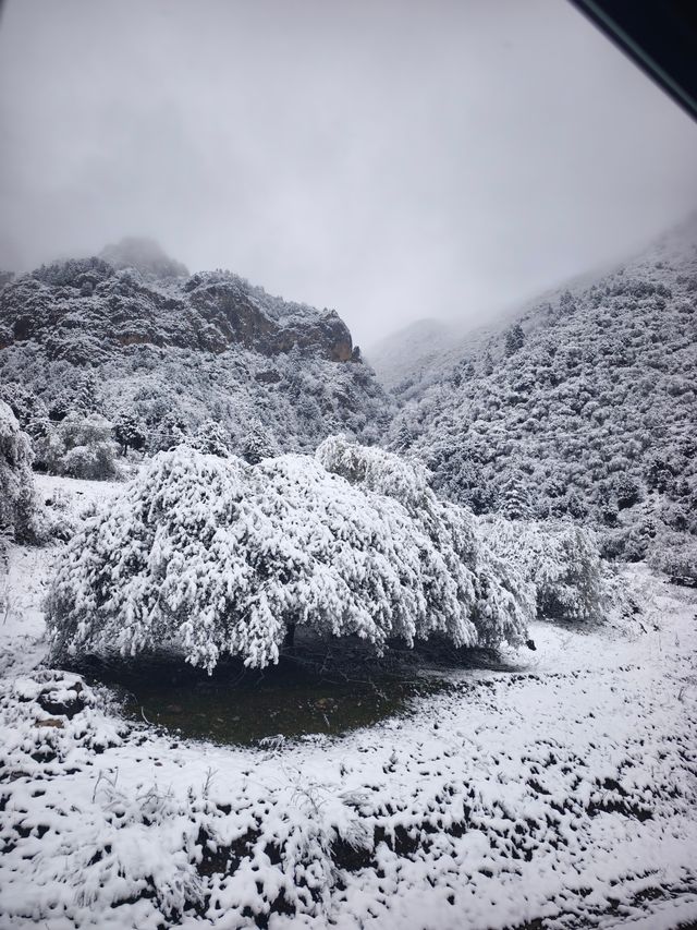 黃龍下雪真的太好看了 黃龍下雪真的太好看了