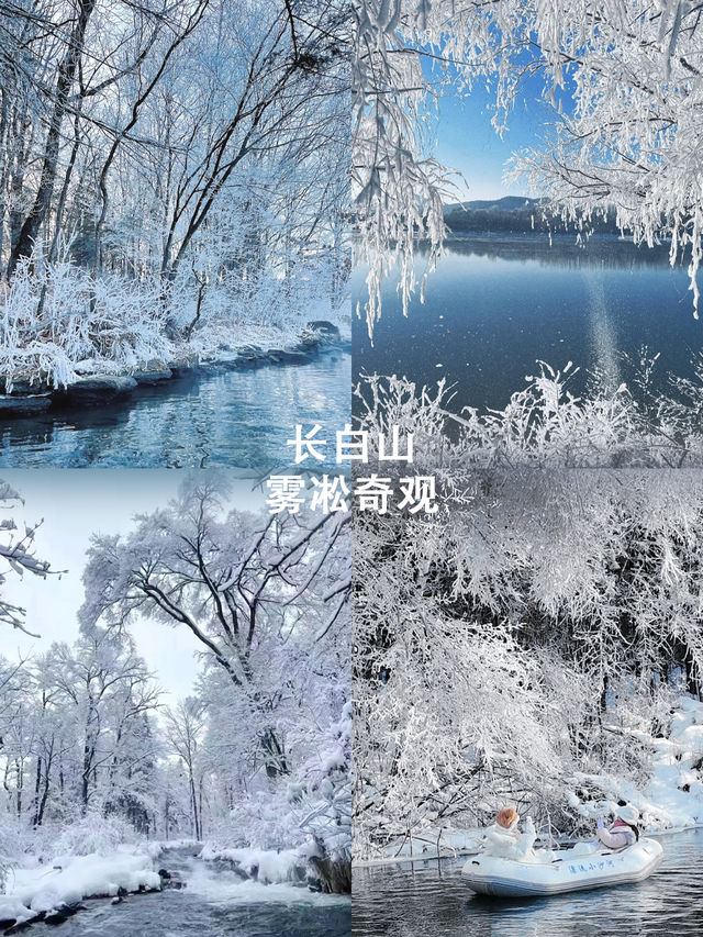 閉眼衝1W+的東北高奢遊,小貴但很值 閉眼衝1W+的東北高奢遊,小貴但很值