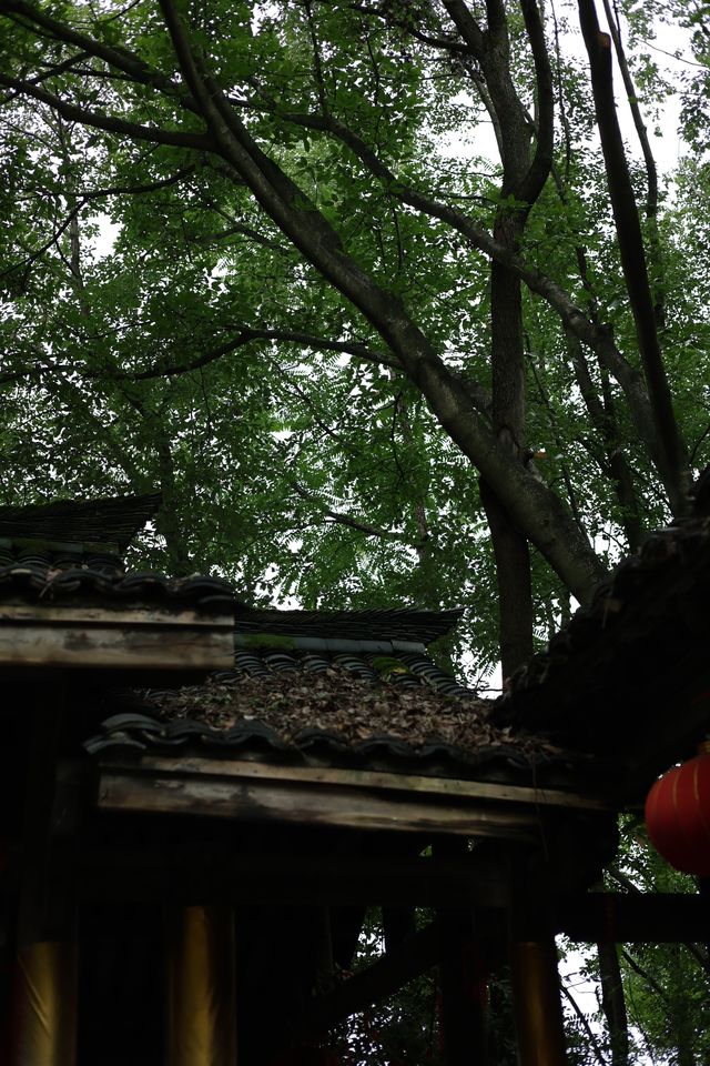 一起去巴人石頭城