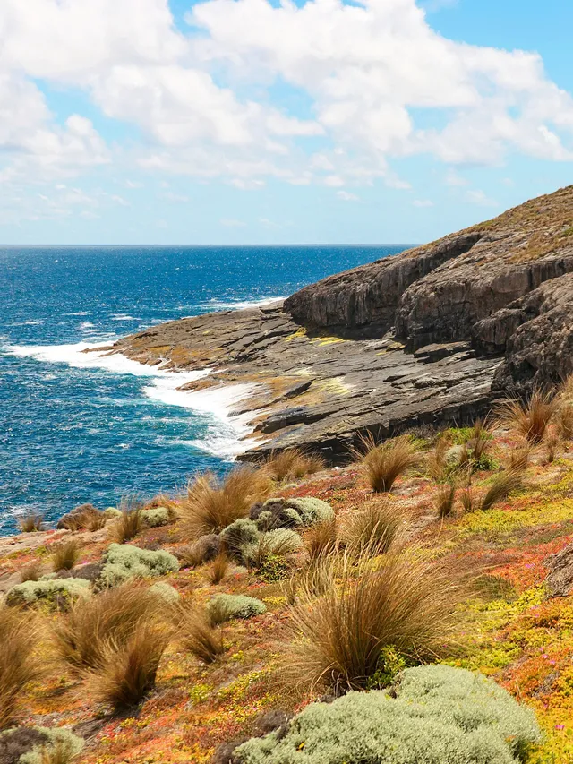 南澳大利亞攻略｜誰沒來過袋鼠島我都會傷心