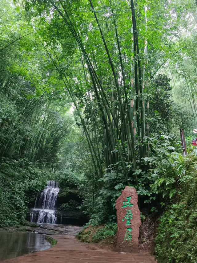 霧隱竹香踏雨行 霧隱竹香踏雨行