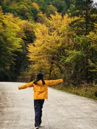 西安周邊|不愧陝南小九寨低估賞秋天花板