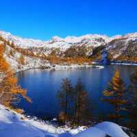 🇮🇹이탈리아 알페 데베레오, 야생 여우와의 뜻밖의 만남 🦊