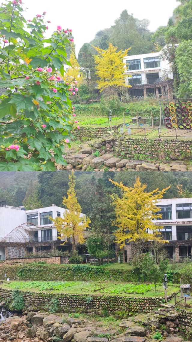 青城山免票！雲孚里莊園春秋假遛娃封神