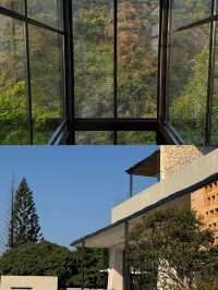 深圳看海封神！苫也才是避世頂流躺進270°玻璃海美到失語