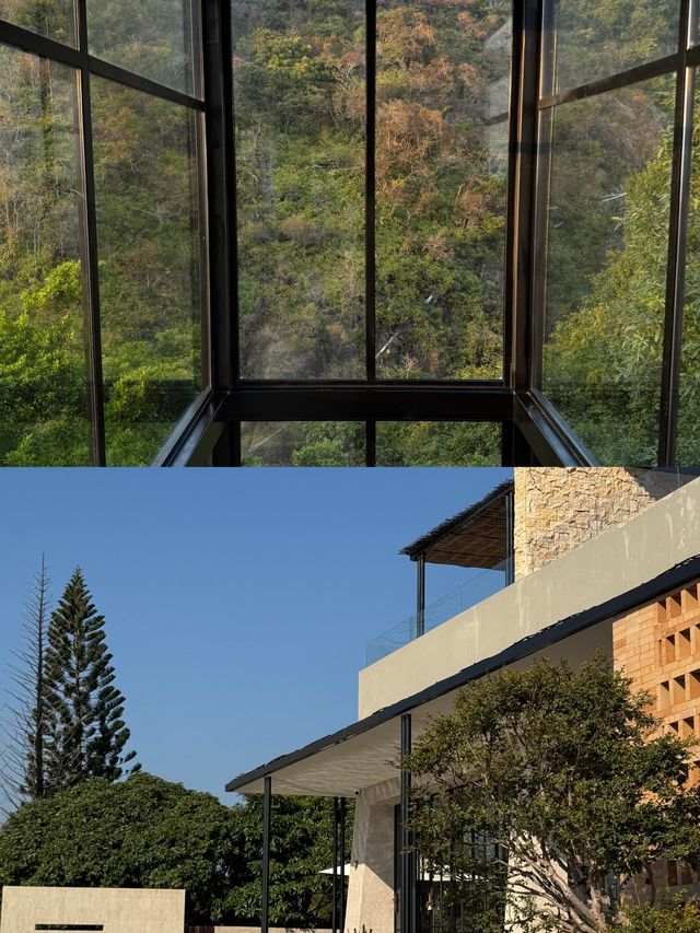 深圳看海封神！苫也才是避世頂流躺進270°玻璃海美到失語