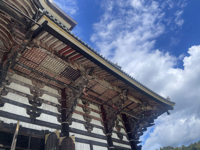 奈良東大寺深度遊千年古剎美到窒息！