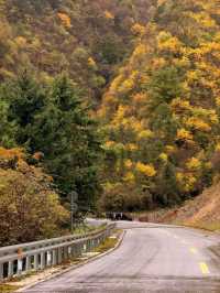 秋色限定牛背山私藏小團，2-8人暢玩雲端仙境！