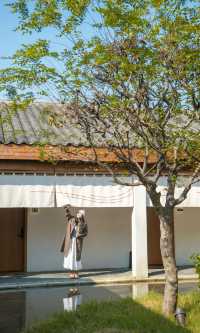 銀杏瀑布、紅葉滿山 鄭州周邊小眾賞秋路線