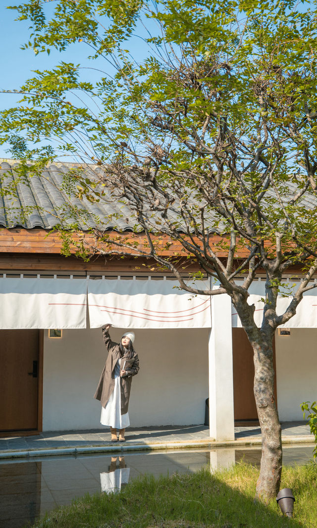 銀杏瀑布、紅葉滿山 鄭州周邊小眾賞秋路線 銀杏瀑布、紅葉滿山 鄭州周邊小眾賞秋路線