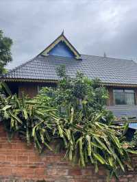 闖入雨林秘境探索千年曼丟古寨，傣家風情拍不停