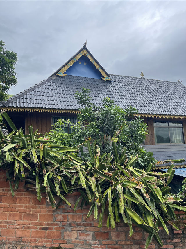 闖入雨林秘境探索千年曼丟古寨，傣家風情拍不停