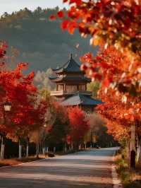 廣深週末溜娃!韶關紅楓+流星太絕了