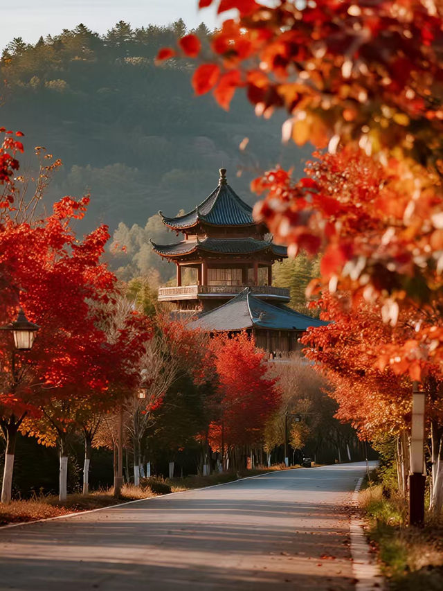 廣深週末溜娃!韶關紅楓+流星太絕了 廣深週末溜娃!韶關紅楓+流星太絕了