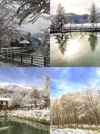 神木壘川西秘境中的森林、草甸與雪山盛宴