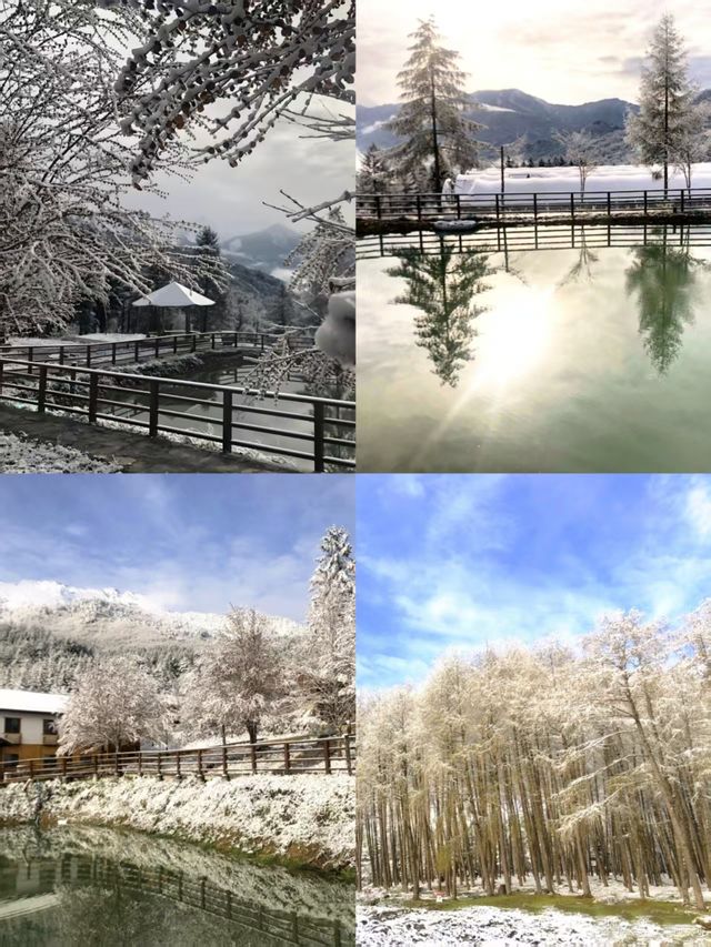 神木壘川西秘境中的森林、草甸與雪山盛宴