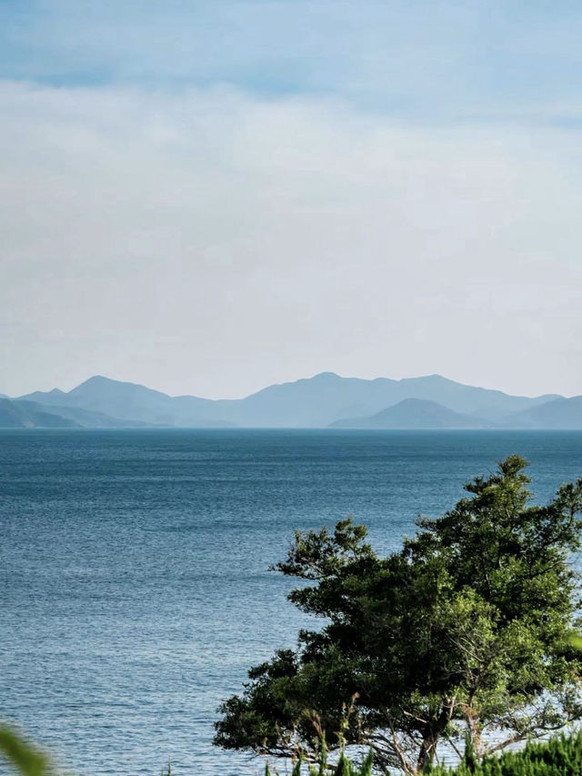 深圳桔釣沙｜絕美公路海景打卡地完全不輸國外！