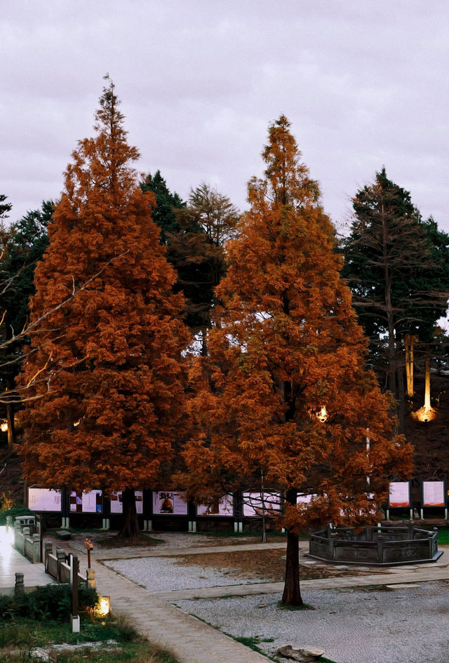 在廬山，抓住了秋天的尾巴