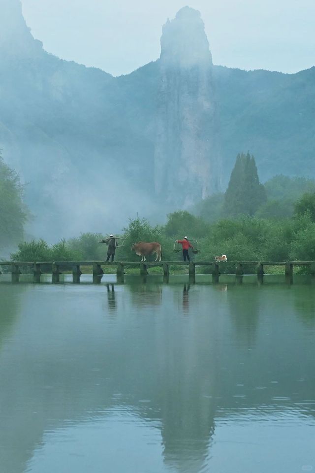 浙江麗水 | 縉雲松陽·江南最後的秘境