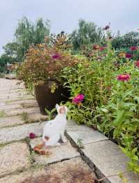 禪意江南必去打卡地