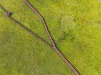 阿西里西韭菜坪|貴州 “天上花海” 阿西里西·韭菜坪位於貴州畢節市赫章縣,主峰海拔2777米,是世