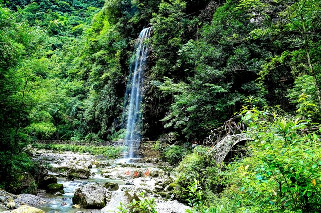 綠浪清波滌塵心——三峽竹海尋幽 綠浪清波滌塵心——三峽竹海尋幽
