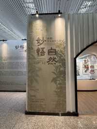 廣州 / 廣東美術館白雲機場分館