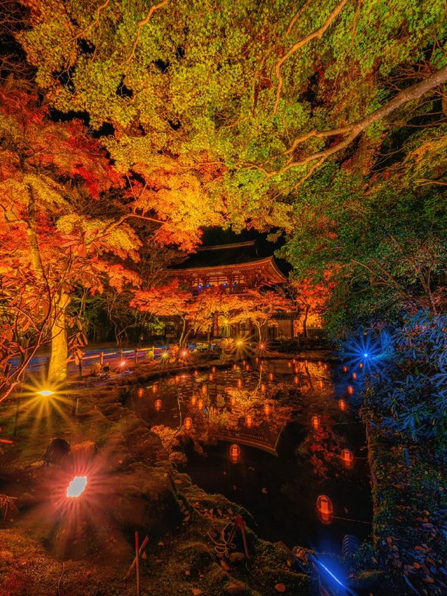 爆美！！！奈良室生寺紅葉燈光展·小眾秘境打卡指南