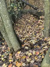 四明山十字褲徒步 上海-餘姚