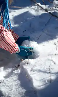 去了沒有雪松的樺皮嶺,想看你們拍的雪松