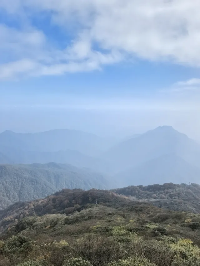 登頂梵淨山坐了最暈車的景交車