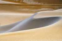 【哈密奇遇記！穿越千年絲路，邂逅大漠奇蹟】