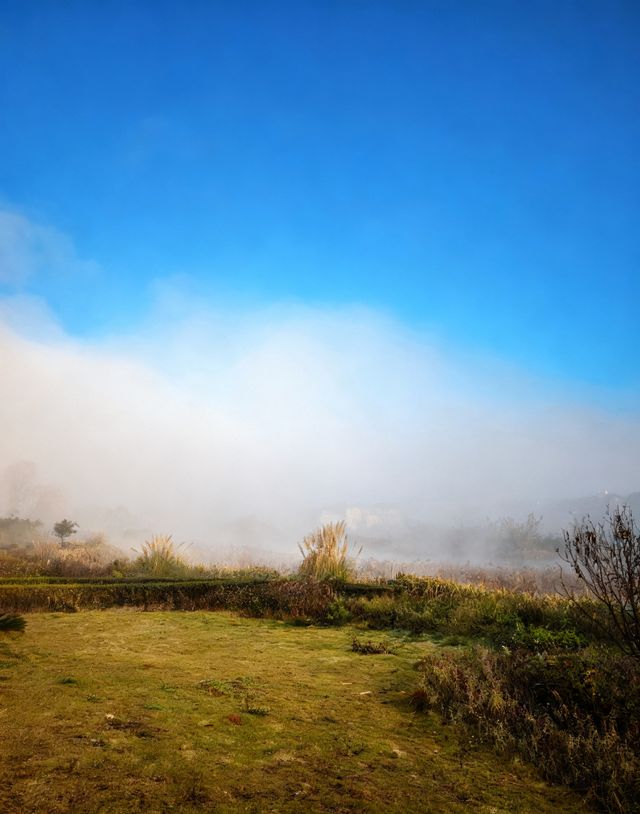 來到雲南丘北普者黑，住進這家浮生若夢湖景酒店，真的是旅行中最明智的選擇！地理位置絕佳，就在普者黑核心