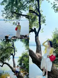 西昌濟州島分導拍照