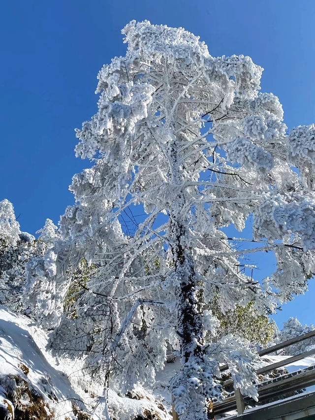 冬日昆明必打卡 冬日昆明必打卡