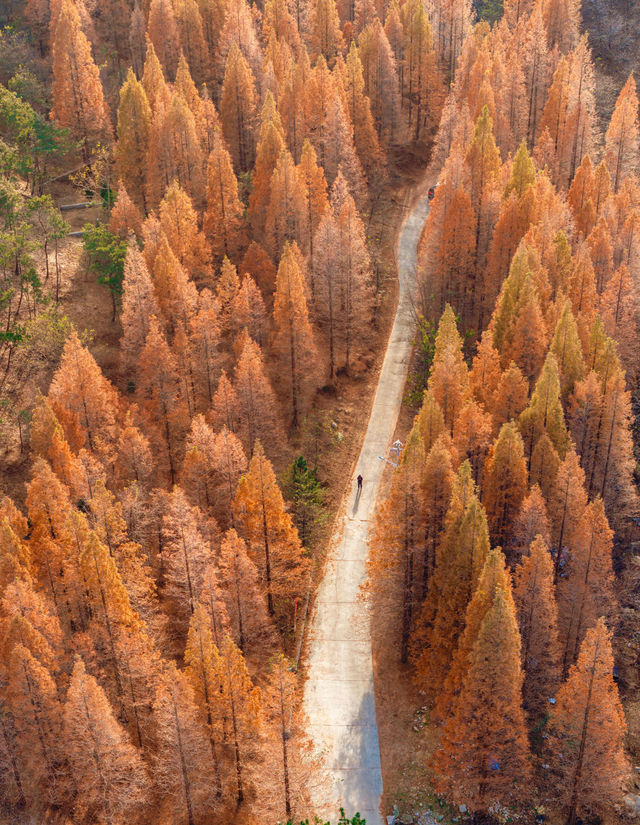 青島-威海-煙台5日遊去前必看攻略 青島-威海-煙台5日遊去前必看攻略