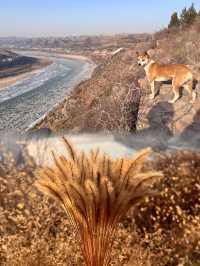 南方人暴風哭泣山西你是有點古香古色的！！