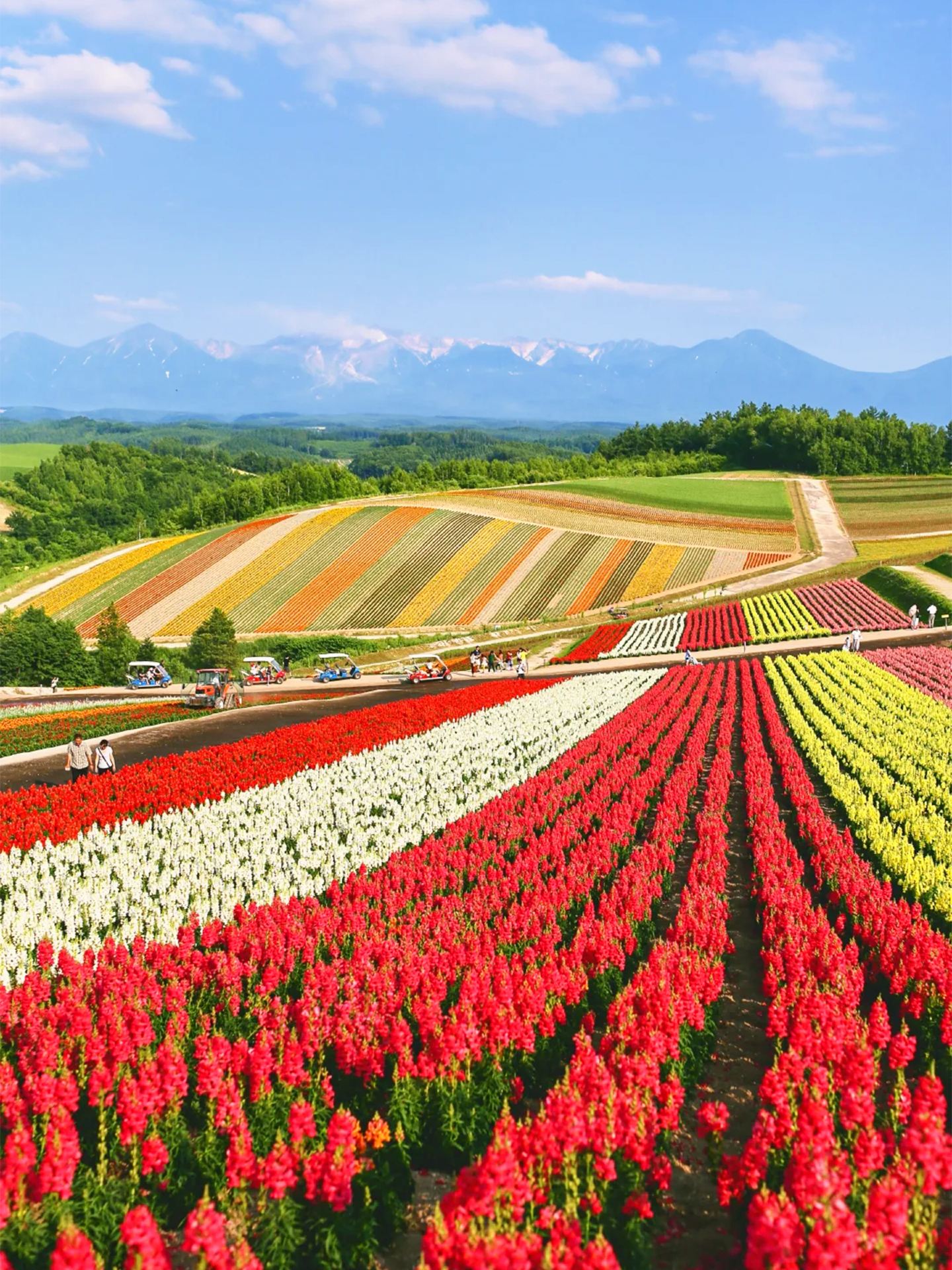 Save it quickly! How to play in 20℃ Hokkaido in summer like a legend