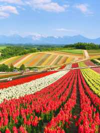 速速保存！夏天去20℃北海道這樣玩封神