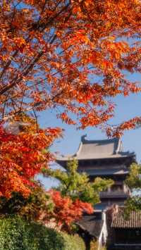 全屏封神 | 理想的秋天,就該這樣熱烈