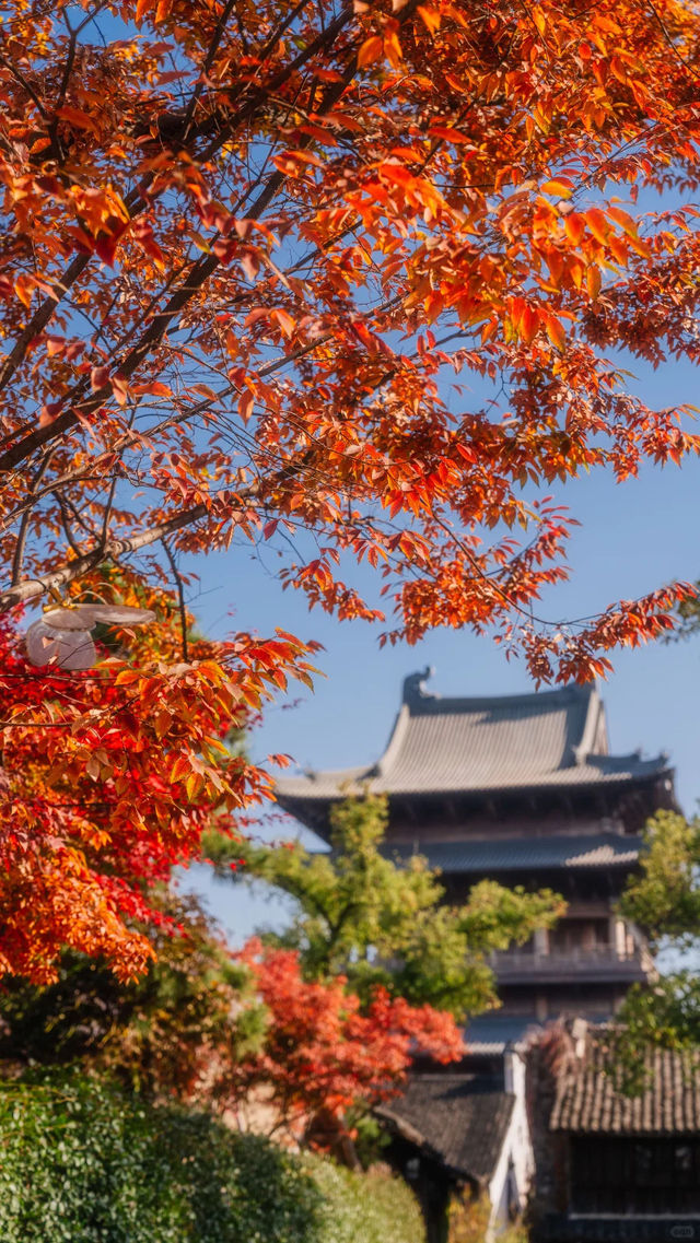 全屏封神 | 理想的秋天,就該這樣熱烈 全屏封神 | 理想的秋天,就該這樣熱烈