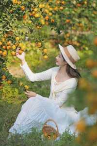 週末遛娃必去橘子園