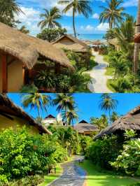 避世美奈,綠洲仙境