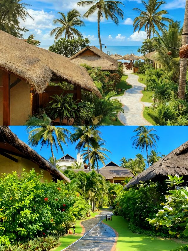 避世美奈,綠洲仙境 避世美奈,綠洲仙境